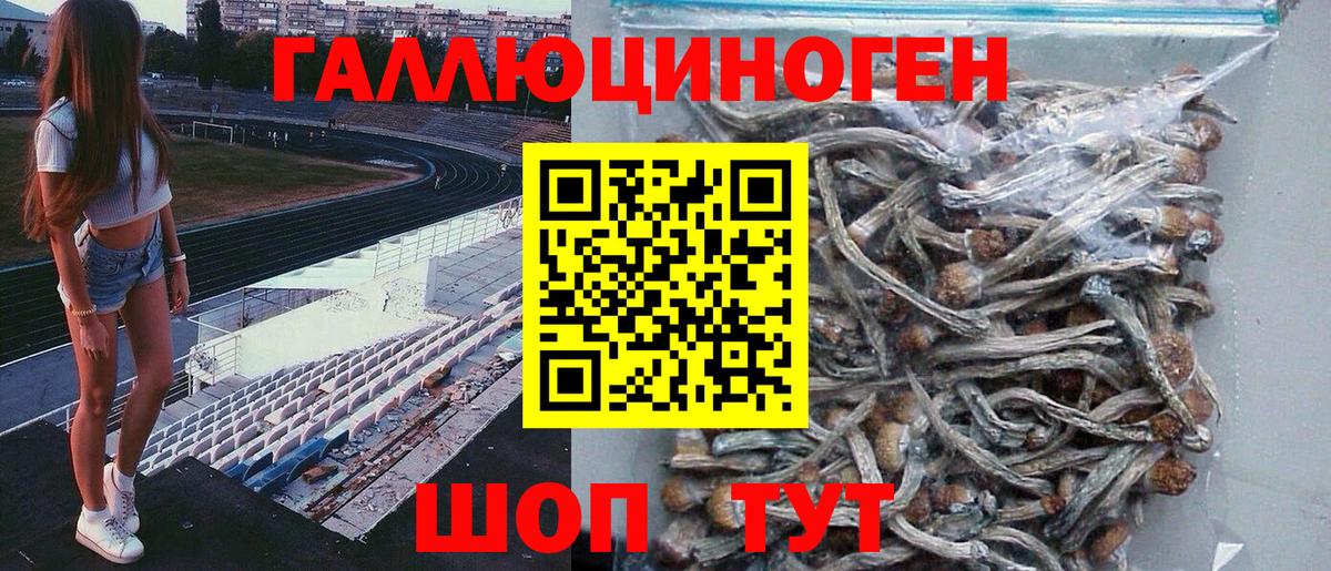 Псилоцибиновые грибы мухоморы Алексеевка